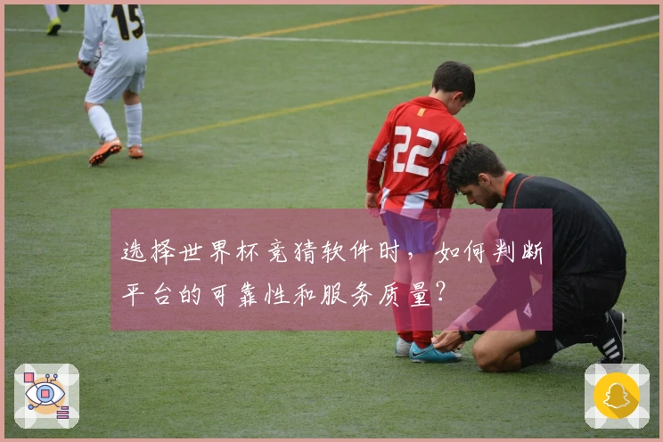 选择世界杯竞猜软件时，如何判断平台的可靠性和服务质量？