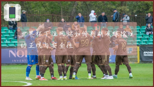世界杯下注网站如何判断滚球投注的正规与安全性