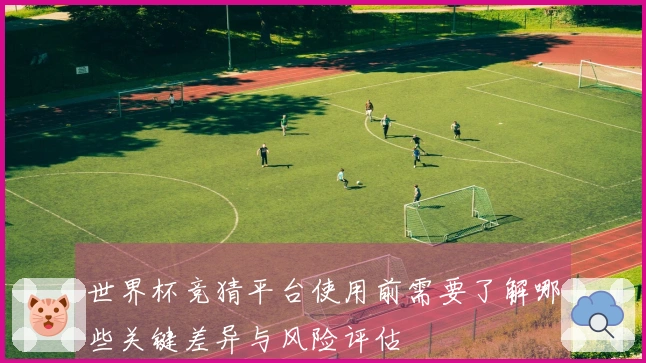 世界杯竞猜平台使用前需要了解哪些关键差异与风险评估