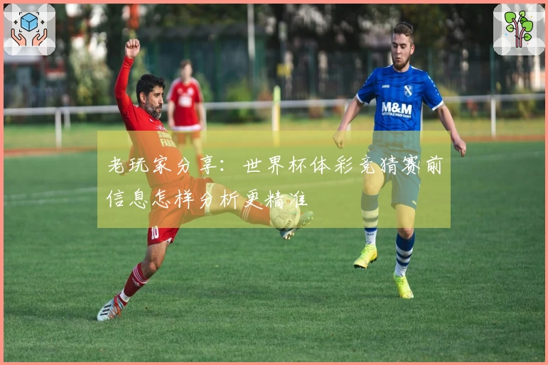 老玩家分享：世界杯体彩竞猜赛前信息怎样分析更精准
