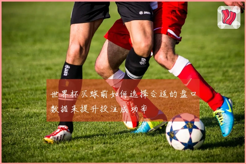世界杯买球前如何选择合适的盘口数据来提升投注成功率