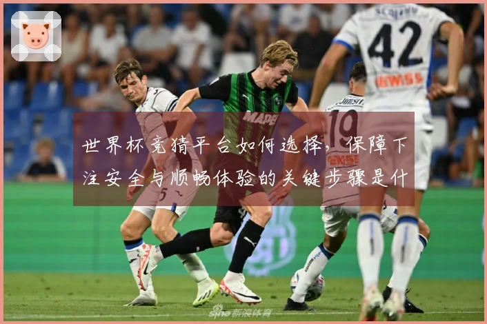 世界杯竞猜平台如何选择，保障下注安全与顺畅体验的关键步骤是什么