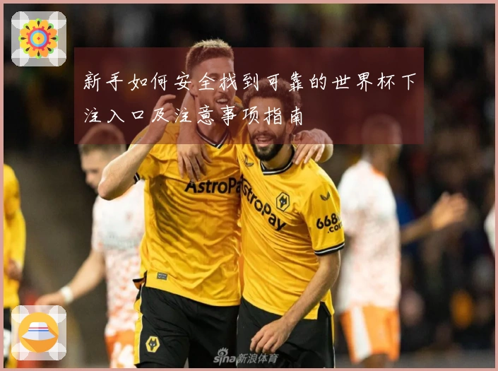 新手如何安全找到可靠的世界杯下注入口及注意事项指南