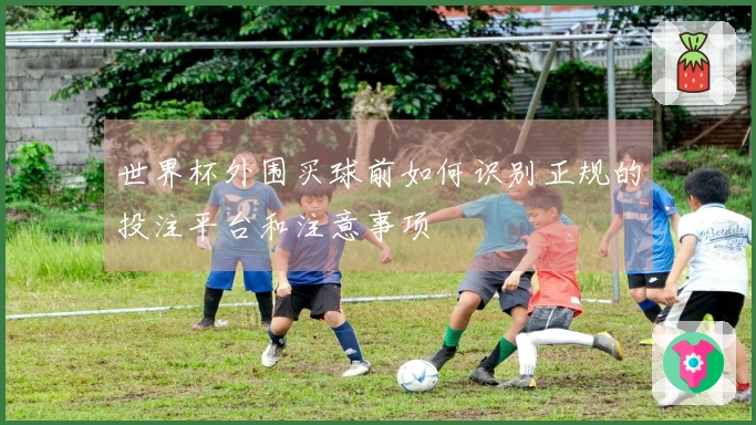 世界杯外围买球前如何识别正规的投注平台和注意事项