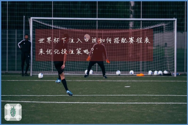 世界杯下注入口该如何搭配赛程表来优化投注策略?