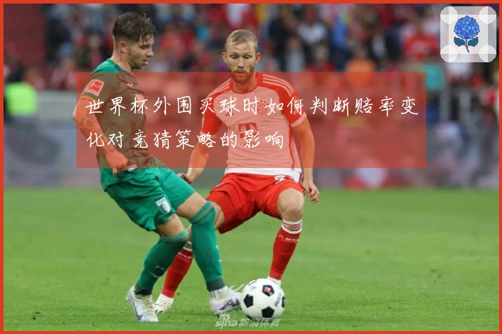 世界杯外围买球时如何判断赔率变化对竞猜策略的影响