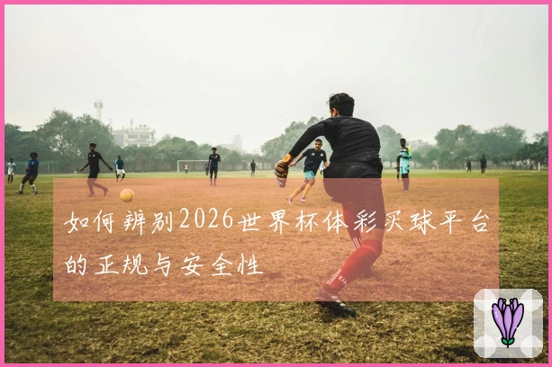 如何辨别2026世界杯体彩买球平台的正规与安全性