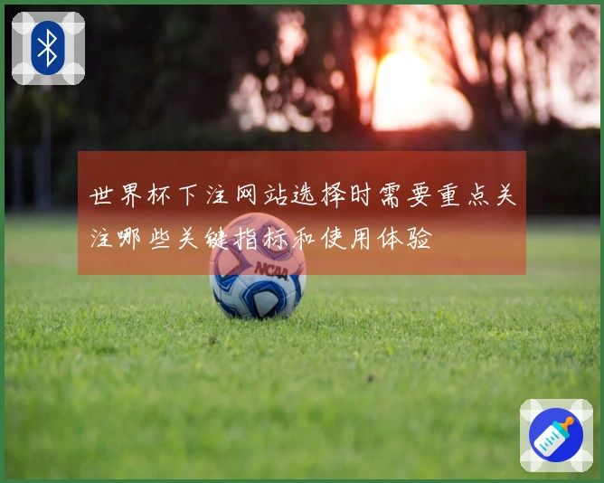 世界杯下注网站选择时需要重点关注哪些关键指标和使用体验