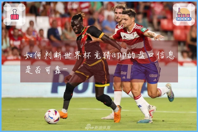 如何判断世界杯竞猜app的盘口信息是否可靠-