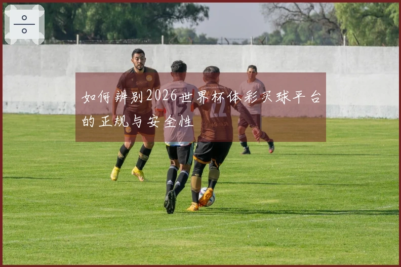 如何辨别2026世界杯体彩买球平台的正规与安全性