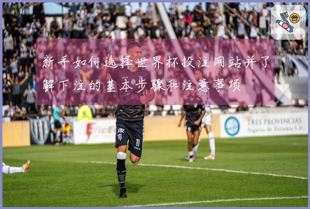 新手如何选择世界杯投注网站并了解下注的基本步骤和注意事项