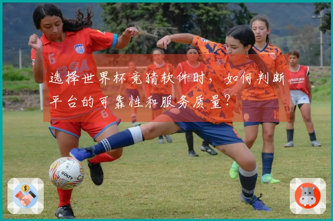 选择世界杯竞猜软件时，如何判断平台的可靠性和服务质量？