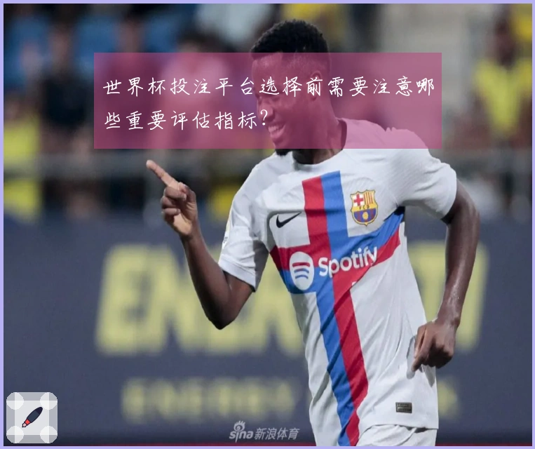 世界杯投注平台选择前需要注意哪些重要评估指标？