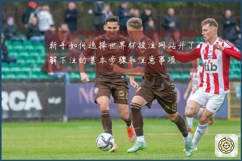 新手如何选择世界杯投注网站并了解下注的基本步骤和注意事项