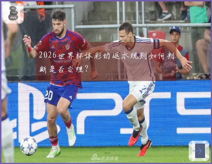 2026世界杯体彩的返水规则如何判断是否合理？