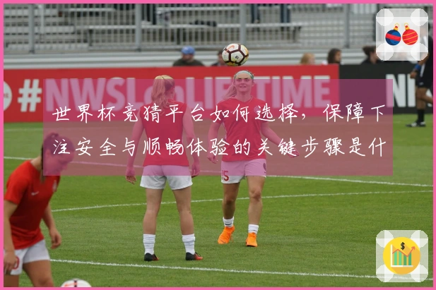世界杯竞猜平台如何选择，保障下注安全与顺畅体验的关键步骤是什么
