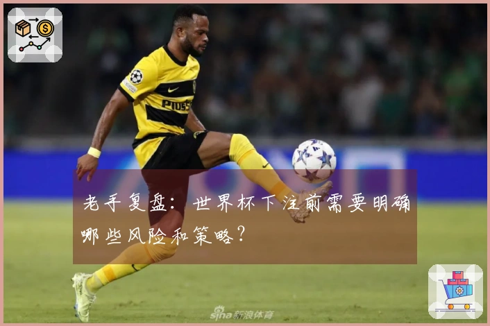 老手复盘：世界杯下注前需要明确哪些风险和策略？
