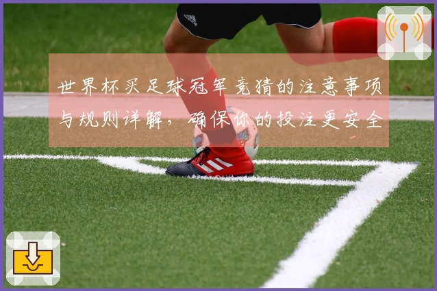世界杯买足球冠军竞猜的注意事项与规则详解，确保你的投注更安全
