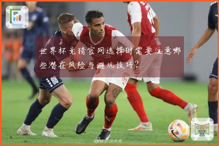 世界杯竞猜官网选择时需要注意哪些潜在风险与避坑技巧？