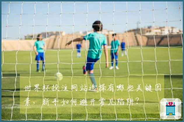 世界杯投注网站选择有哪些关键因素，新手如何避开常见陷阱？