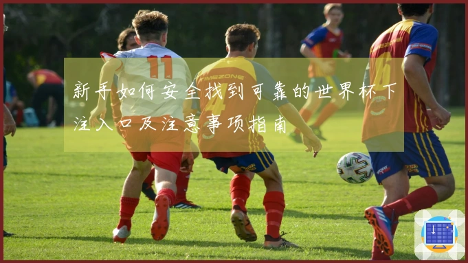 新手如何安全找到可靠的世界杯下注入口及注意事项指南