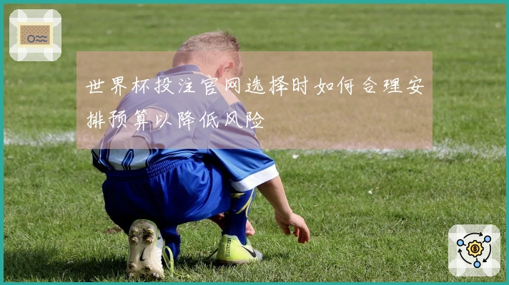 世界杯投注官网选择时如何合理安排预算以降低风险