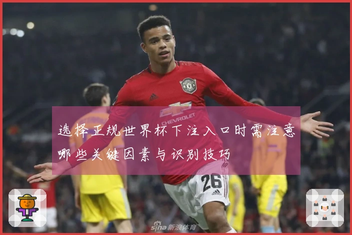 选择正规世界杯下注入口时需注意哪些关键因素与识别技巧